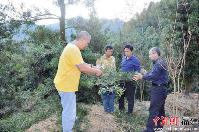 宝马论坛118论坛官网